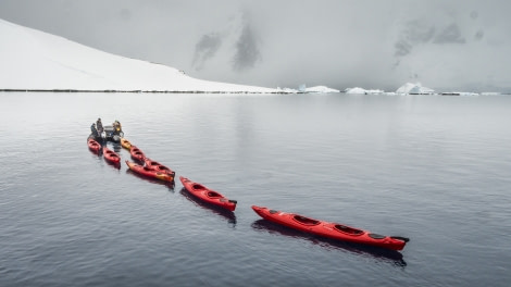 Antarctica, Kayaks © Dietmar Denger-Oceanwide Expeditions.jpg