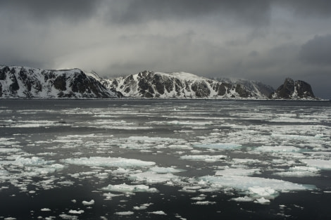 Ytre Norskoya, Spitsbergen, June