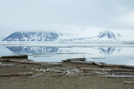 Poolepynten, Spitsbergen, June