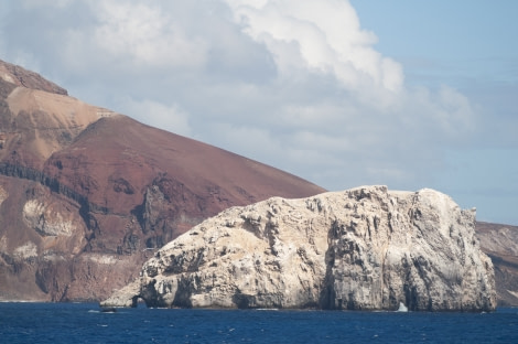 Ascension Island, Boatswain Bird Island, Atlantic Odyssey © Troels Jacobsen-Oceanwide Expeditions.JPG