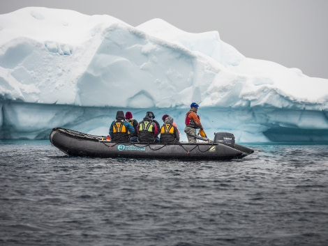 Antarctica, Zodiac cruising © Dietmar Denger-Oceanwide Expeditions.jpg