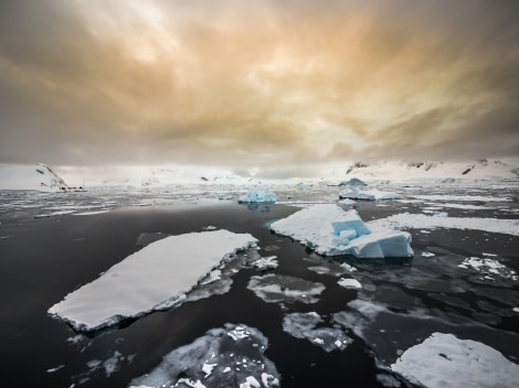 Antarctica © Dietmar Denger-Oceanwide Expeditions.jpg