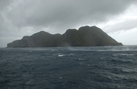 Nightingale Island, Atlantic Odyssey © Hadoram Shirihai-Oceanwide Expeditions (3).jpg