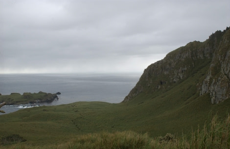 Nightingale Island, Atlantic Odyssey © Hadoram Shirihai-Oceanwide Expeditions (1).jpg