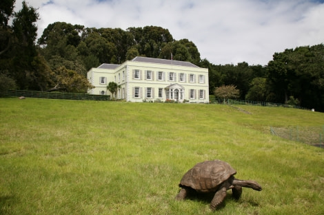 St Helena, Plantation House, Atlantic Odyssey © Rob Tully-Oceanwide Expeditions.JPG