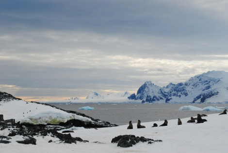 antarctica_polar circle_detaille island © jamie scherbeijn-oceanwide expeditions (35).JPG