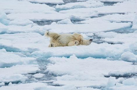 NO SPITSBERGEN 1 IMG_5453.jpg