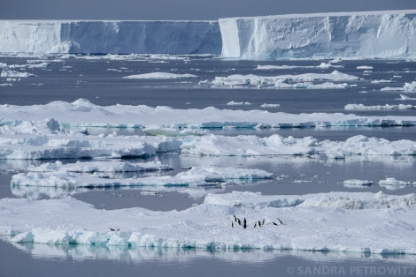 OTL25-17_20161229_OTL25_PenguinsIceberg_SandraPetrowitz-Oceanwide Expeditions.jpg