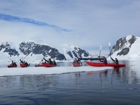 PLA26-17_Kayak, 13 January-Oceanwide Expeditions.jpg