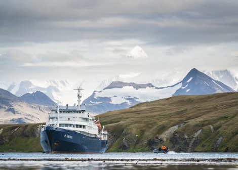 Plancius, South Georgia, Grytviken © Fotografie Dietmar Denger-Oceanwide Expeditions147.jpg