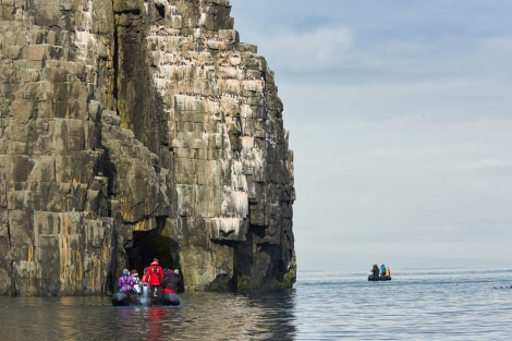 North Spitsbergen Polar Bear Special, June © Markus Eichenberger-Oceanwide Expeditions (102).jpg