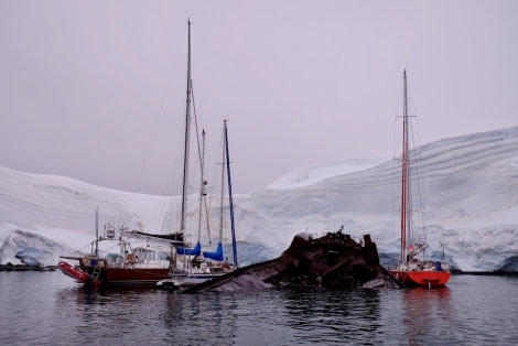 PLA28-17_Foyn Harbour 11.02.17 C.Vanman-Oceanwide Expeditions.jpg