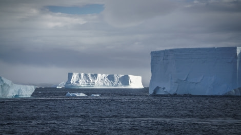 Falklands, South Georgia, Ant Peninsula © Fotografie Dietmar Denger-Oceanwide Expeditions214.jpg