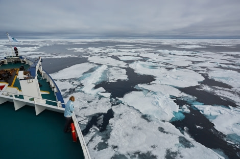 North Spitsbergen Polar Bear Special, June © Markus Eichenberger-Oceanwide Expeditions (66).jpg