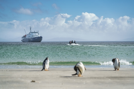 Falklands, South Georgia, Ant Peninsula © Fotografie Dietmar Denger-Oceanwide Expeditions37.jpg