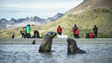 Falklands, South Georgia, Ant Peninsula © Fotografie Dietmar Denger-Oceanwide Expeditions140.jpg