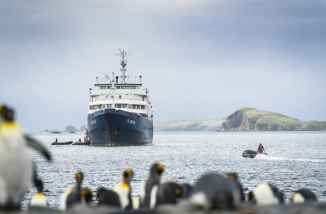 Falklands, South Georgia, Ant Peninsula © Fotografie Dietmar Denger-Oceanwide Expeditions71.jpg