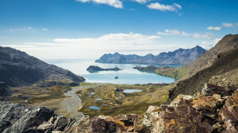 Falklands, South Georgia, Ant Peninsula © Fotografie Dietmar Denger-Oceanwide Expeditions131.jpg