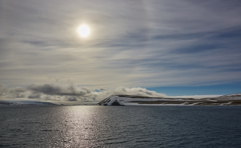 North Spitsbergen Polar Bear Special, June © Markus Eichenberger-Oceanwide Expeditions (68).jpg