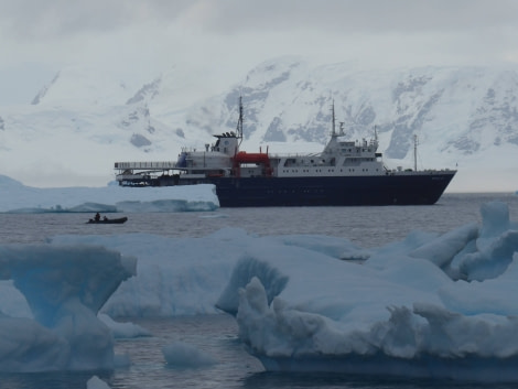 OTL29-17,Day 5 Victoria Salem. Ortelius & zodiac, off Cuverville Island-Oceanwide Expeditions.JPG