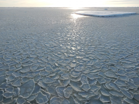 OTL28-17, Ross Sea,day 17 ice Lynn-Oceanwide Expeditions.jpg
