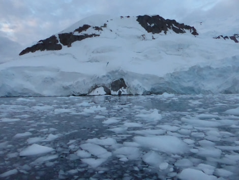 OTL28-17, Ross Sea,Day 27 Victoria Salem.  Zodiac cruise, Andvord Bay 2-Oceanwide Expeditions.JPG