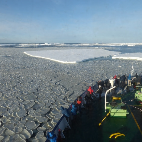 OTL28-17, Ross Sea,Day 17 Victoria Salem. Ortelius in ice with penguins-Oceanwide Expeditions.JPG