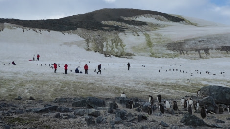 OTL28-17, Ross Sea,Day 28 Victoria Salem.  Danco Island landing 3-Oceanwide Expeditions.JPG