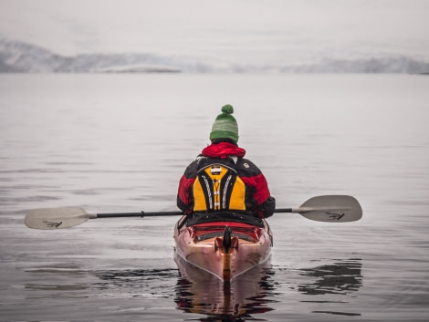 Kayaking in Antarctica