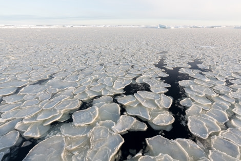 OTL28-17, Ross Sea,170302a_Ross-Sea_ice_044© Rolf Stange-Oceanwide Expeditions.jpg