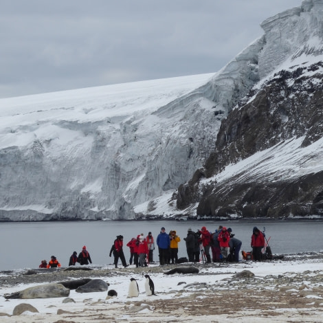 OTL28-17, Ross Sea,Day 11 Victoria Salem. Landing site, Franklin Island-Oceanwide Expeditions.JPG