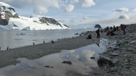 OTL28-17, Ross Sea,Day 28 Victoria Salem.  Danco Island landing 1-Oceanwide Expeditions.JPG