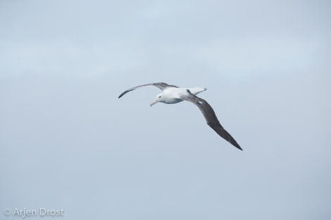 OTL28-17, Ross Sea,Day_2_20170216_Arjen_Drost_33315-Oceanwide Expeditions.jpg