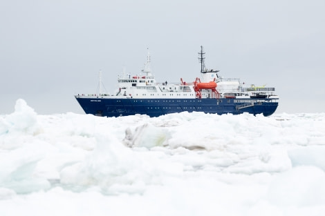 OTL28-17, Ross Sea,170223b_Cape-Hallet_114© Rolf Stange-Oceanwide Expeditions.jpg