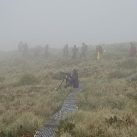 OTL28-17, Ross Sea,Day 3 Victoria Salem. Passengers in the fog-Oceanwide Expeditions.JPG