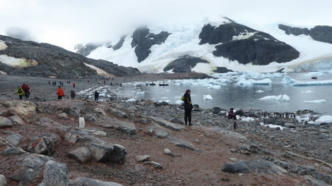 OTL29-17,Day 5 Victoria Salem. Passengers on Cuverville Island 2-Oceanwide Expeditions.JPG