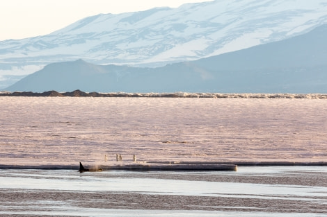 OTL28-17, Ross Sea,170227_McMurdo-Sound_Ice_52© Rolf Stange-Oceanwide Expeditions.jpg