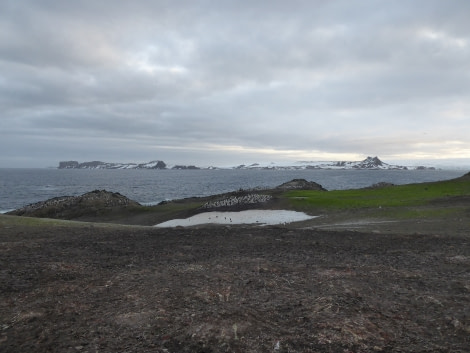 OTL28-17, Ross Sea,Day 29 Victoria Salem.  Aitcho Island 1-Oceanwide Expeditions.JPG