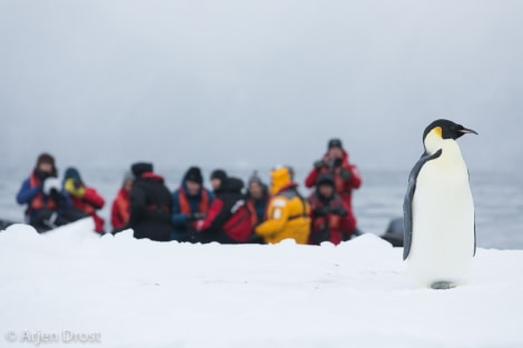 OTL28-17, Ross Sea,20170223_Arjen_Drost_34218-Oceanwide Expeditions.jpg