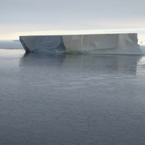 OTL28-17, Ross Sea,Day 13 Victoria Salem. Tabular iceberg-Oceanwide Expeditions.JPG