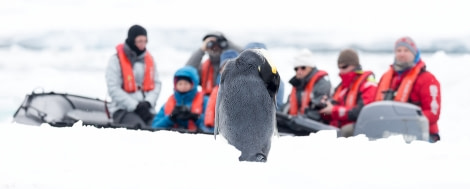 OTL28-17, Ross Sea,170223b_Cape-Hallet_138© Rolf Stange-Oceanwide Expeditions.jpg