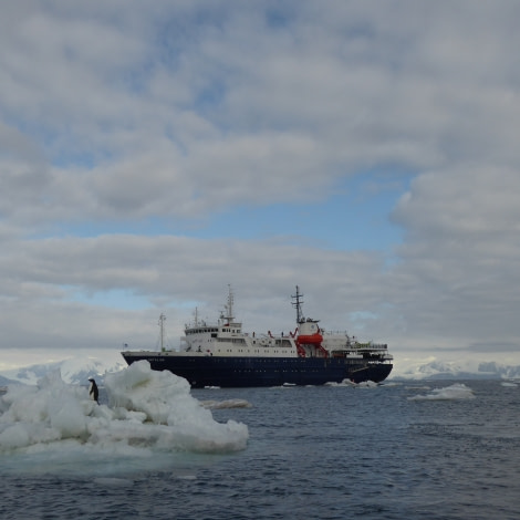 OTL28-17, Ross Sea,Day 8 Victoria Salem. Ortelius & Adelie 1-Oceanwide Expeditions.JPG