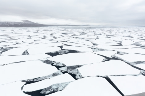 OTL28-17, Ross Sea,170226_Taylor-Valley_008© Rolf Stange-Oceanwide Expeditions.jpg