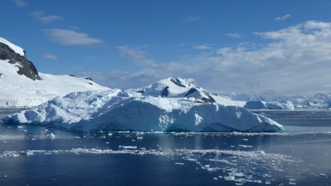 OTL28-17, Ross Sea,Day 27 Victoria Salem.  Andvord Bay-Oceanwide Expeditions.JPG