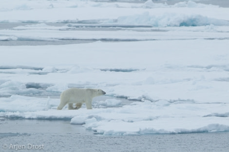 OTL05-1720170611_Arjen_Drost_45557-Oceanwide Expeditions.jpg