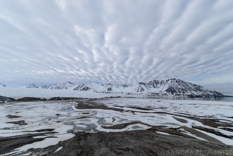 OTL05-1720170610_Engelskbukta_View_SandraPetrowitz_DSC_5849-Oceanwide Expeditions.jpg