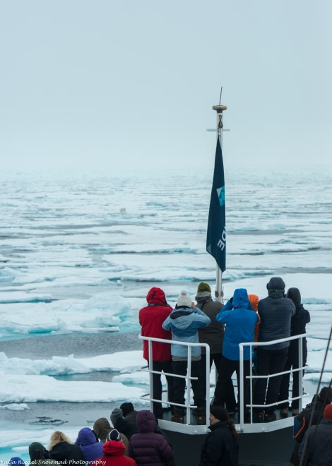 PLA05-1720170611_Katja Riedel_bear in sea ice_DSC_6691-Oceanwide Expeditions.jpg