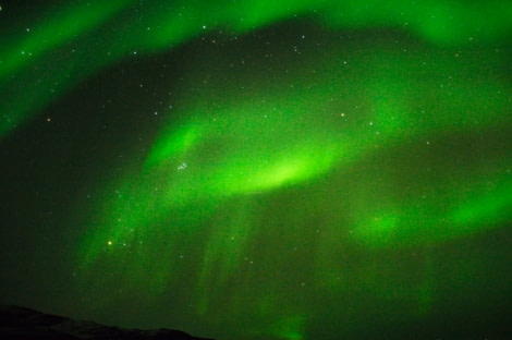 Aurora Borealis across Rypefjord, Scoresby Sund © Tobias Brehm (12).jpg