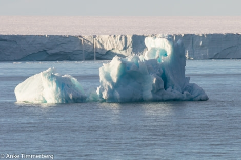 PLA11-17, Day 6, Round SpitsbergenBrasvellbren-Oceanwide Expeditions.jpg