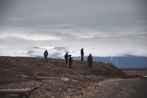 Woodfjord, tundra © Geert Kroes - Oceanwide Expeditions.jpg